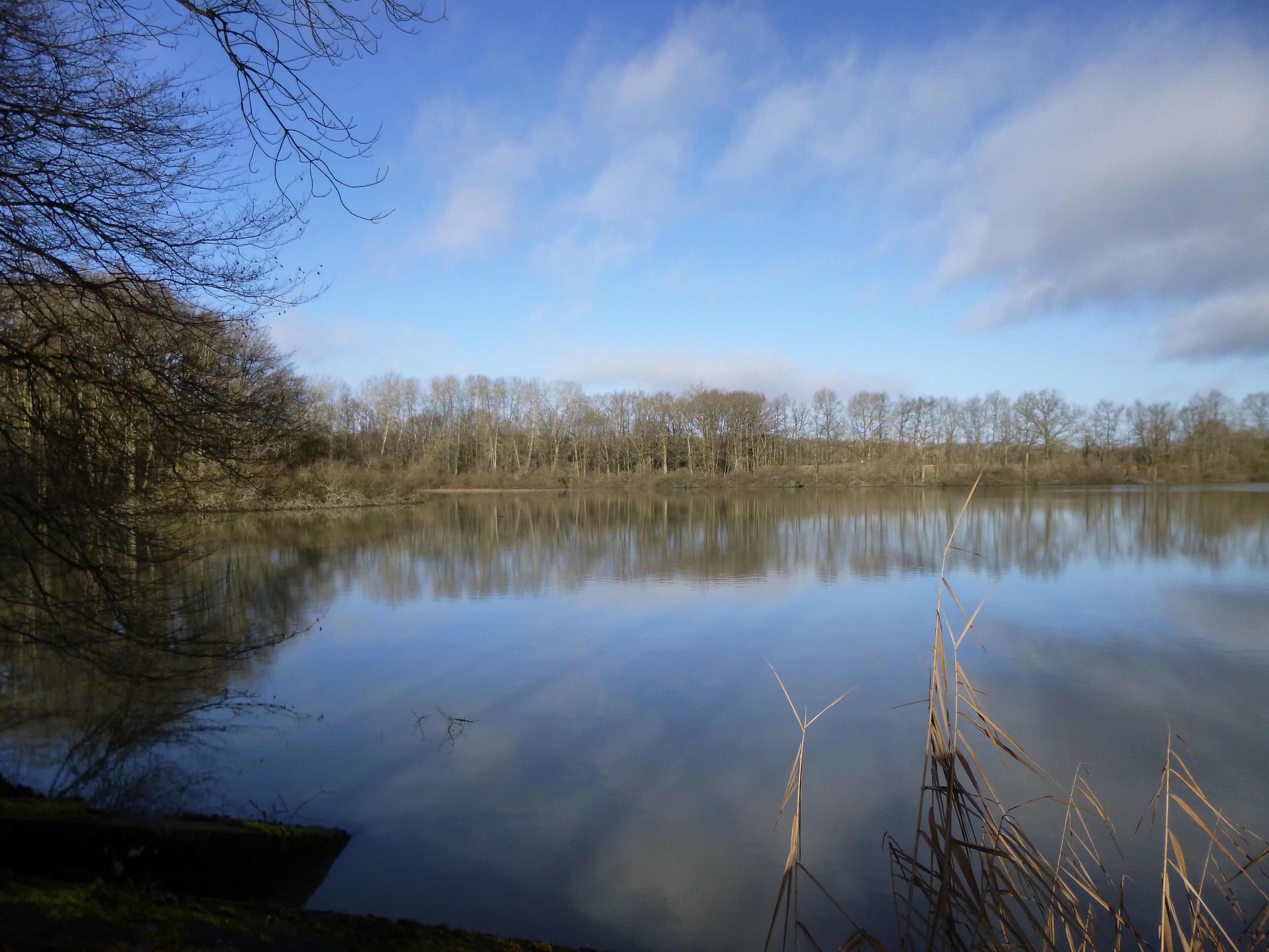 Saint-Maurice-sur-Aveyron, Loiret, Centre, France. Étang de Bellefontaine (Bellefontaine pond) in January, looking north from the road.