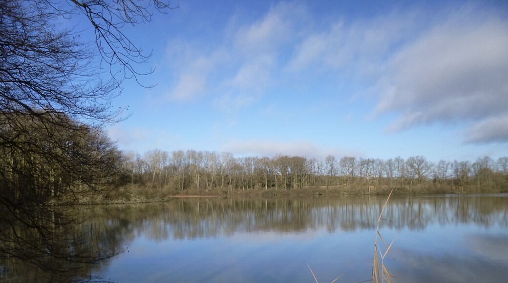 Saint-Maurice-sur-Aveyron, Loiret, Centre, France. Étang de Bellefontaine (Bellefontaine pond) in January, looking north from the road.