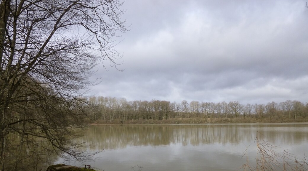 Saint-Maurice-sur-Aveyron, Loiret, Centre, France. Étang de Bellefontaine (Bellefontaine pond) in January, looking north from the road.