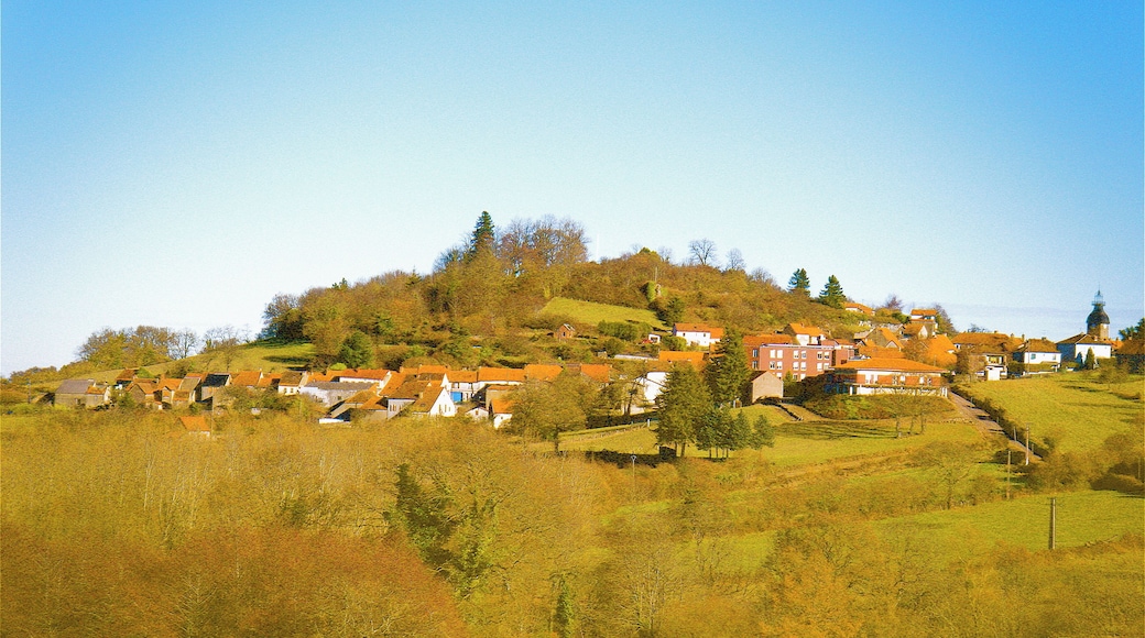 Vue de l'entrée coté ouest du village de Montaigut en Combraille