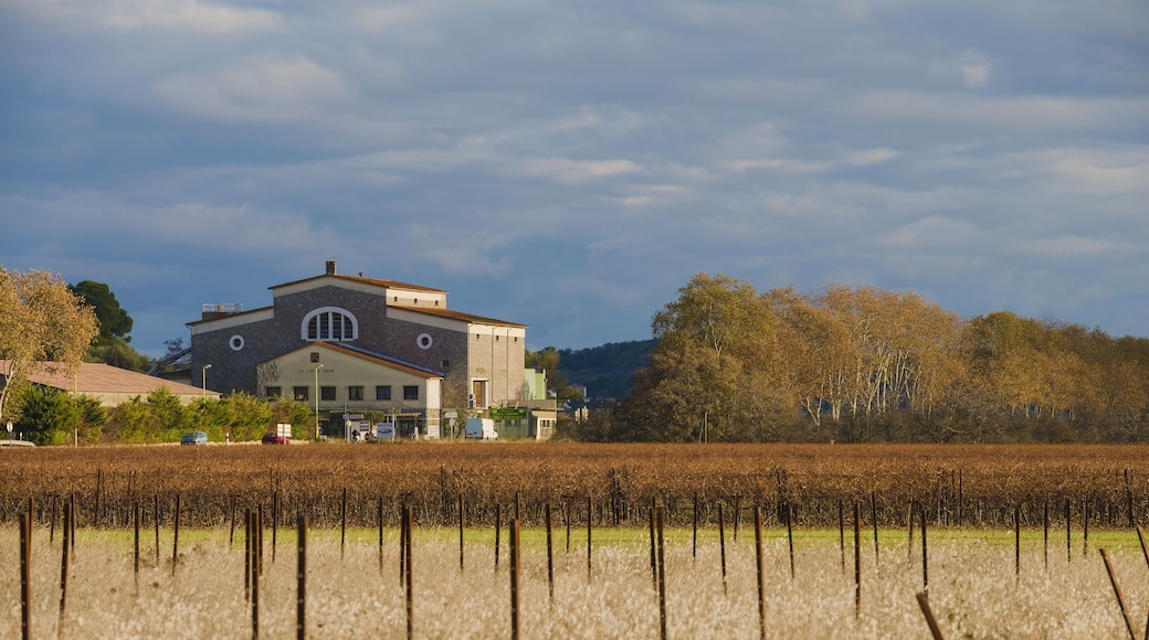 The winemaking cooperative from Nortwest. Thézan-lès-Béziers, Hérault, France.