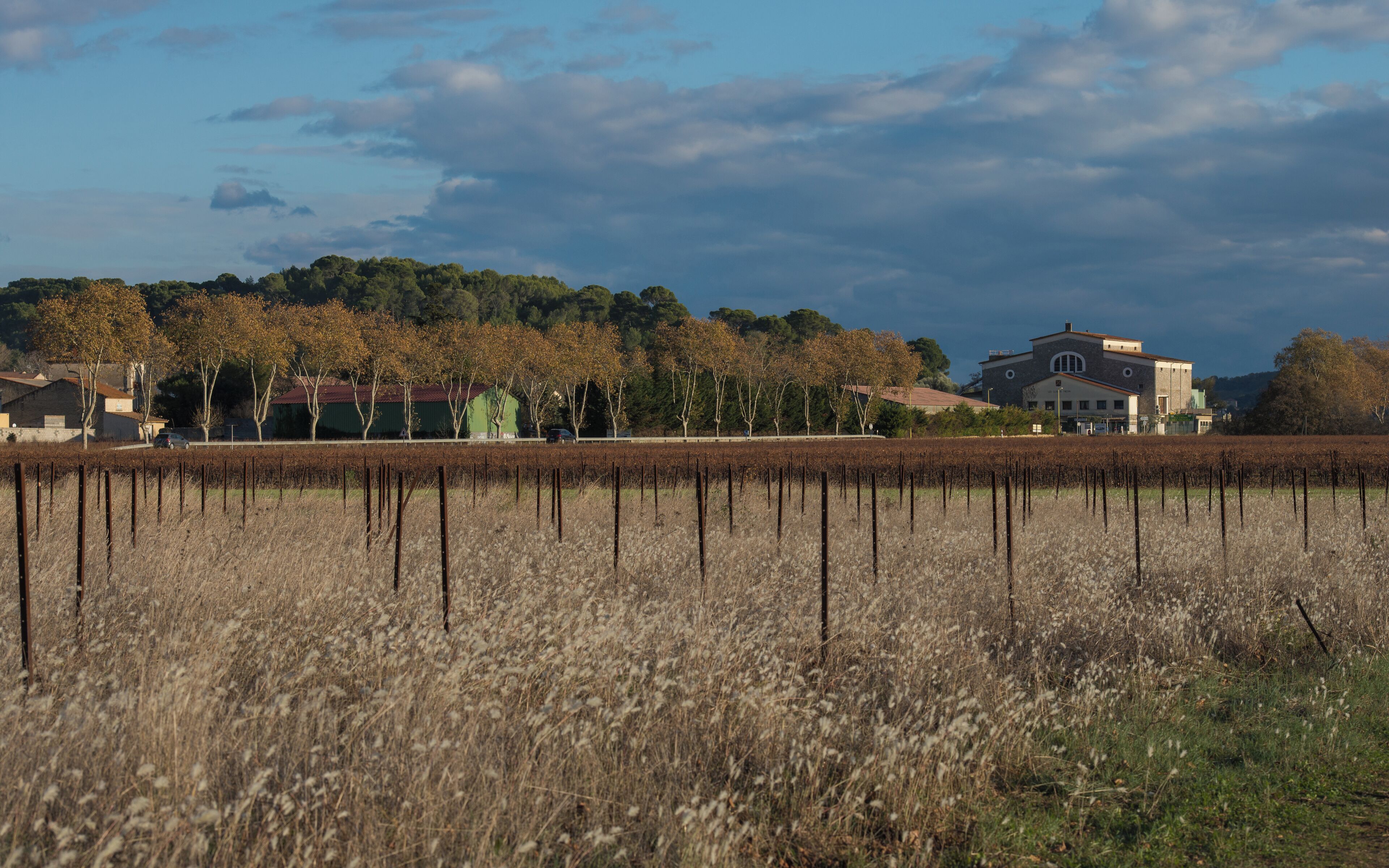 Thézan-lès-Béziers, Hérault, France.