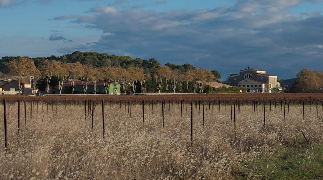 Thézan-lès-Béziers, Hérault, France.