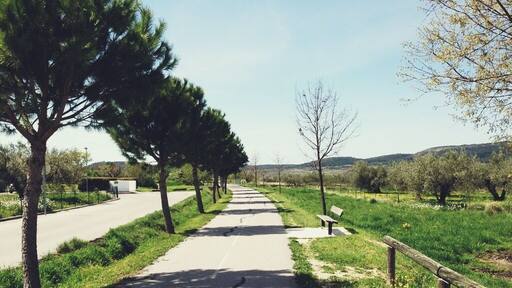 Франция, 2013