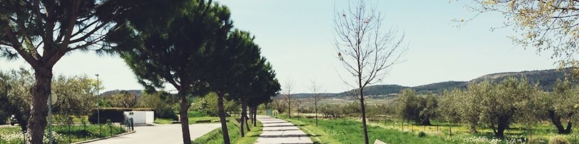 Франция, 2013