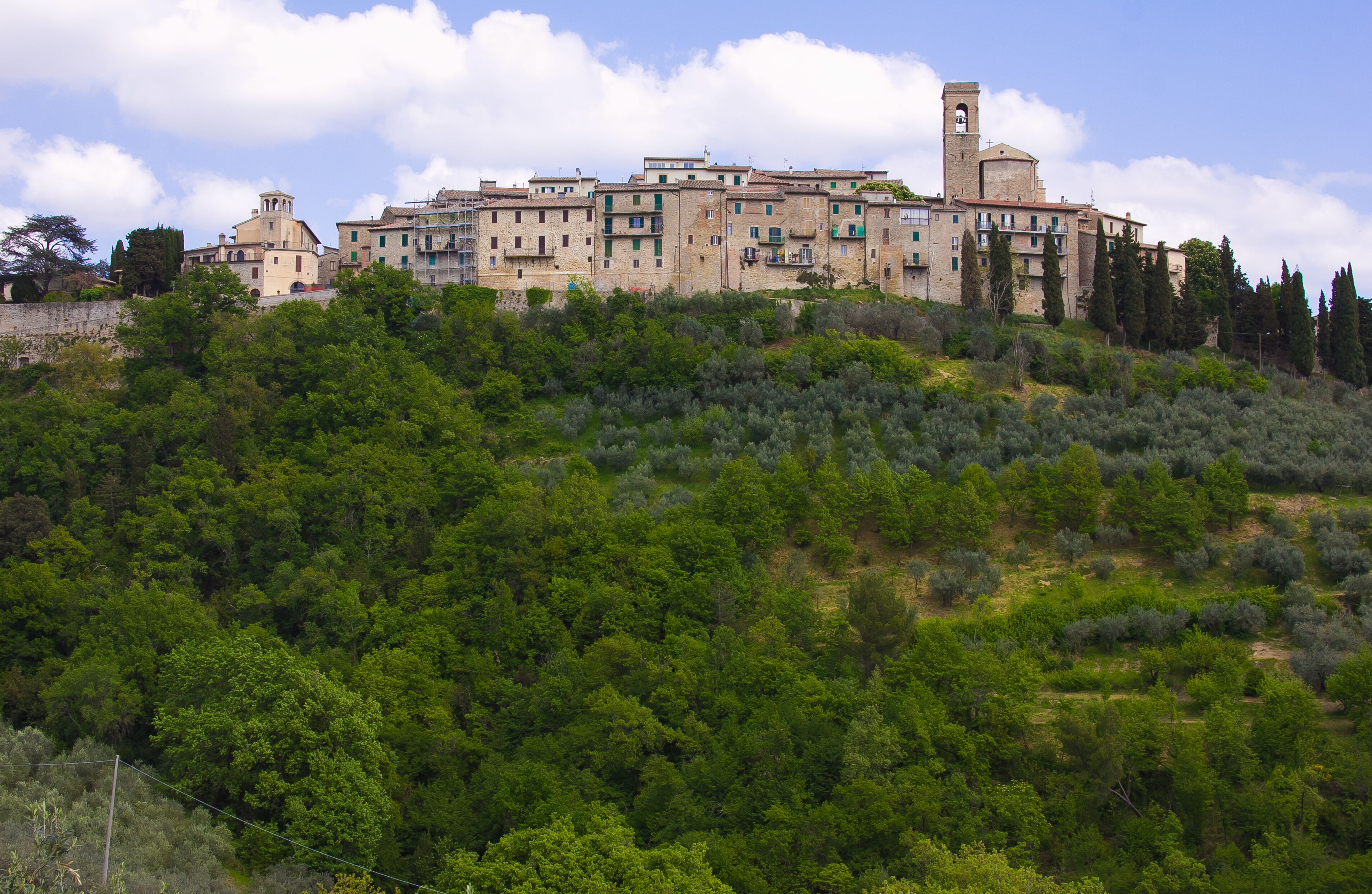 A hillside town with historic buildings and dense green forest.