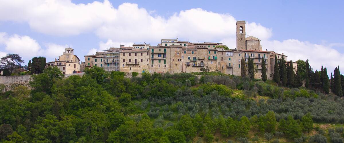 A hillside town with historic buildings and dense green forest.