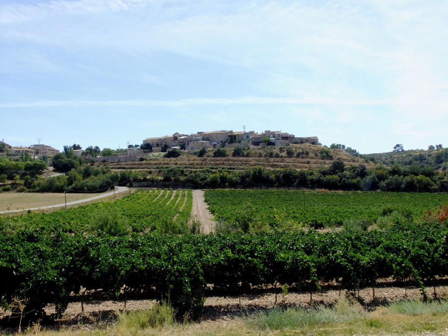 Vista del Mas de Bondia