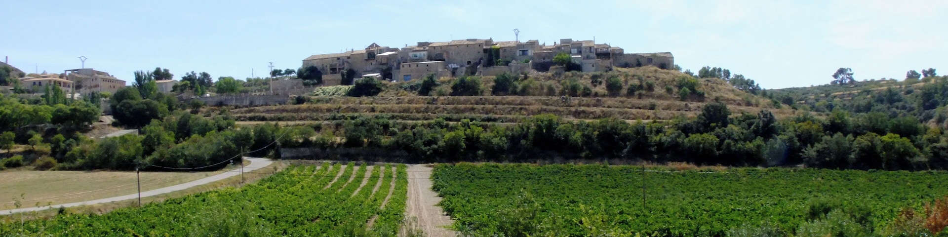 Vista del Mas de Bondia