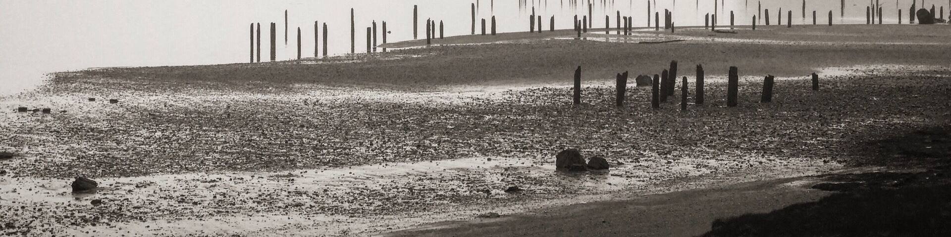 Even when Mother Nature isn't the happiest - you still can find a shot