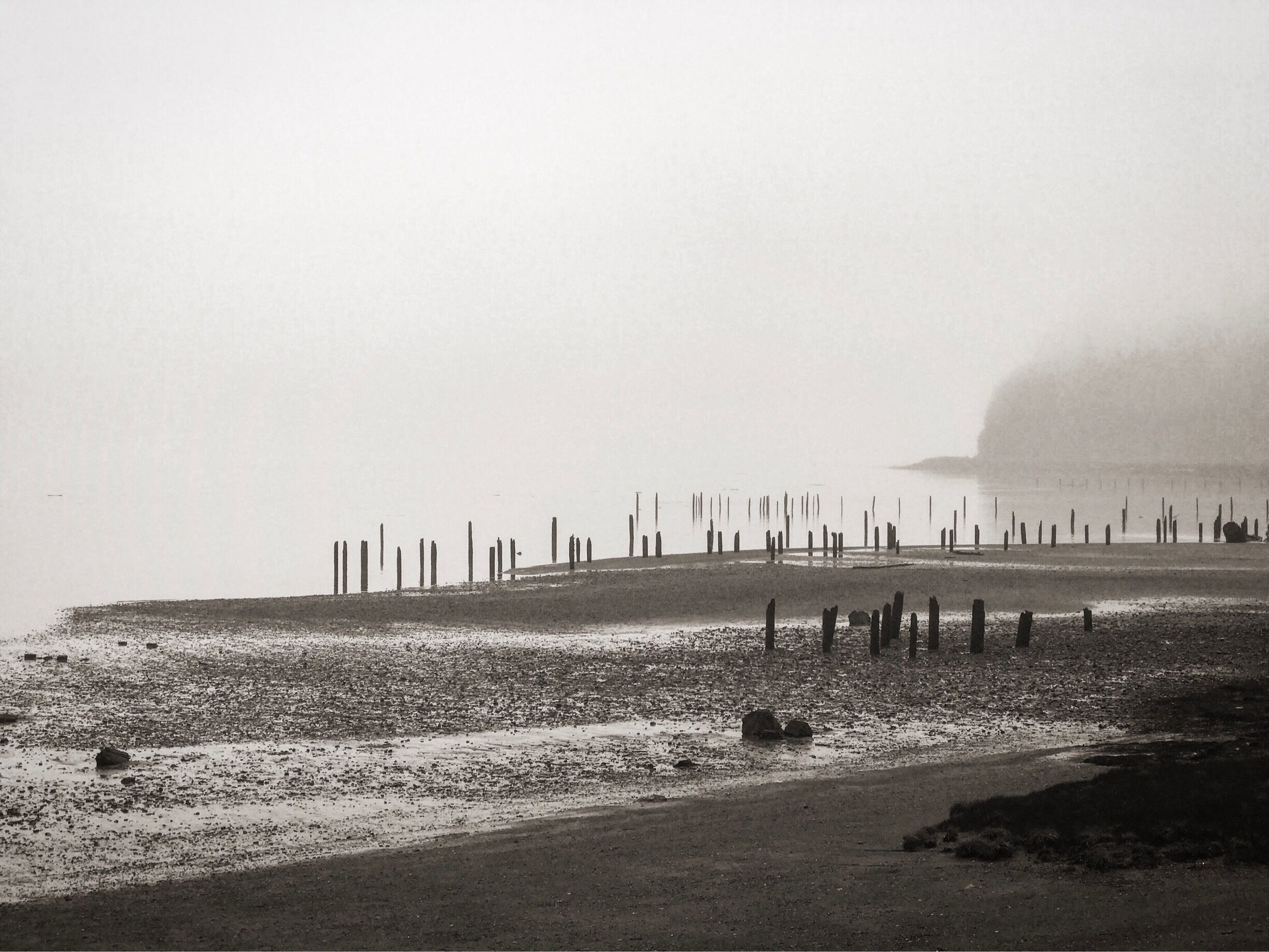 A foggy beach with wooden posts and rocks.