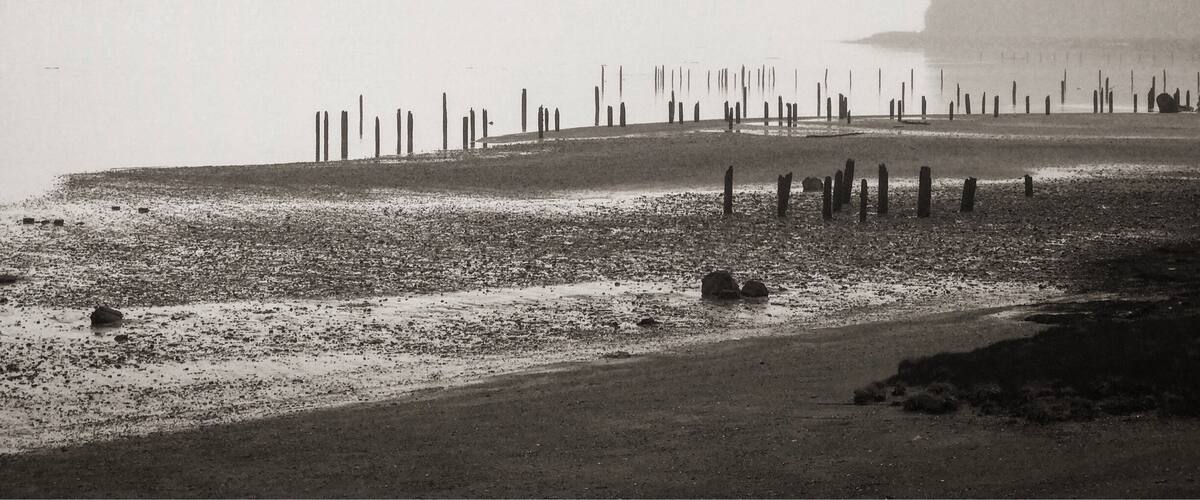 A foggy beach with wooden posts and rocks.