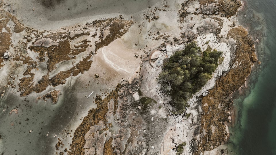 A coastal landscape with rocky terrain, sparse vegetation, and clear water.