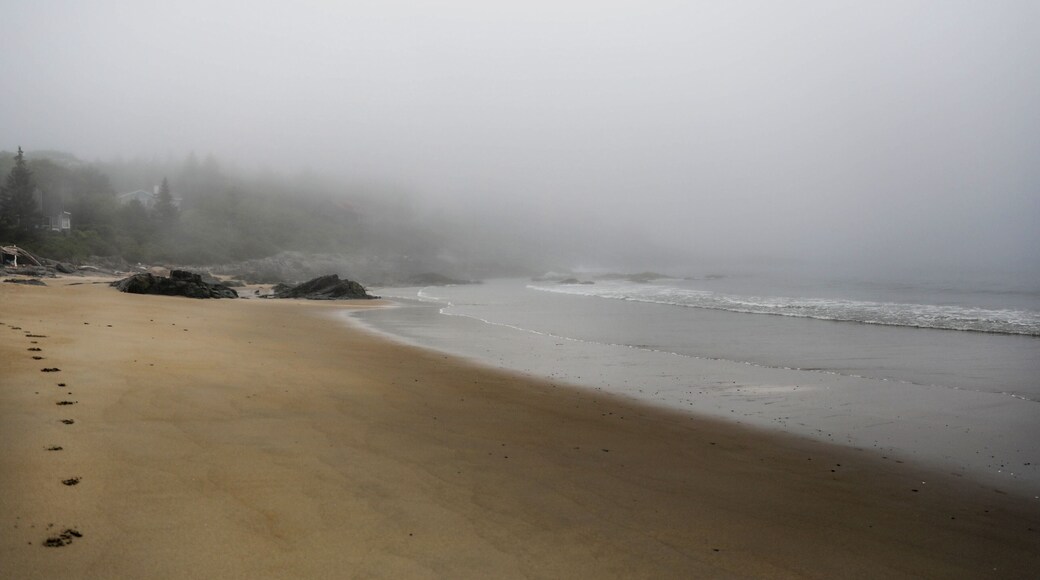 Footprints on the beach on a misty day in Maine.