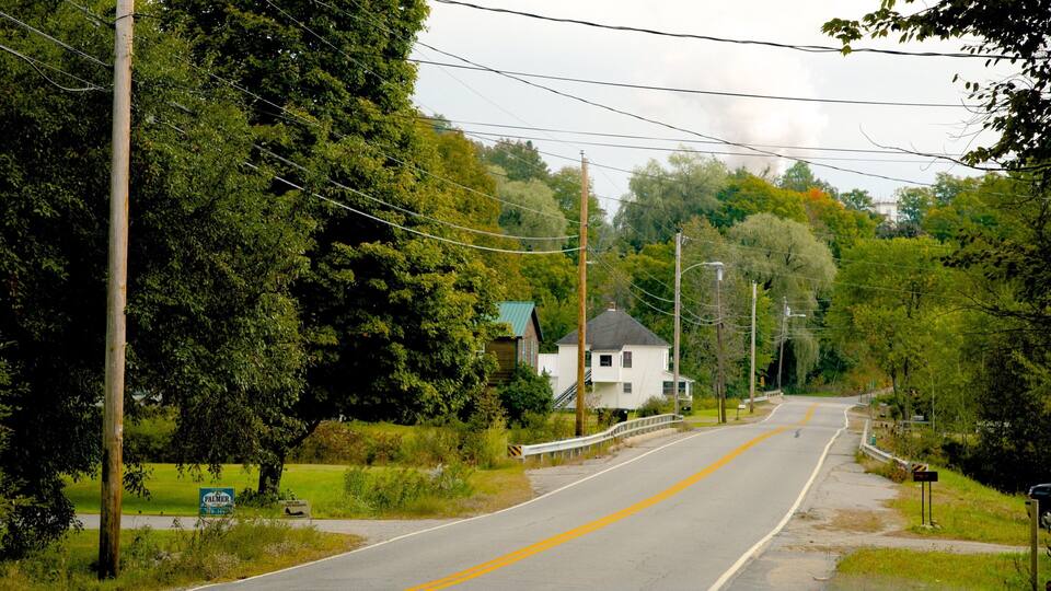 A rural road flanked by trees and utility poles, leading to a white house with a green roof.