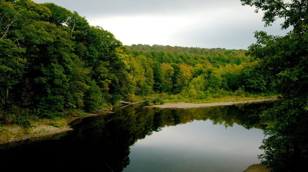 Maine showing a river or creek and forest scenes