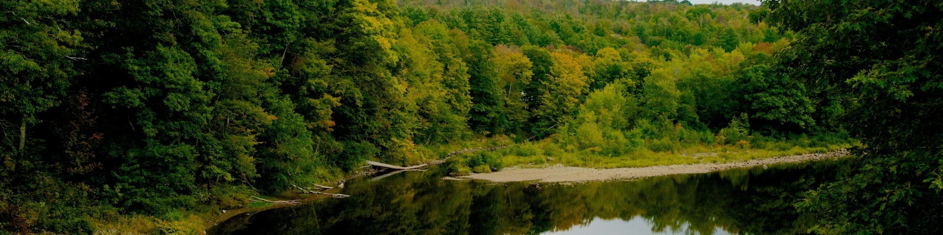Maine showing a river or creek and forest scenes