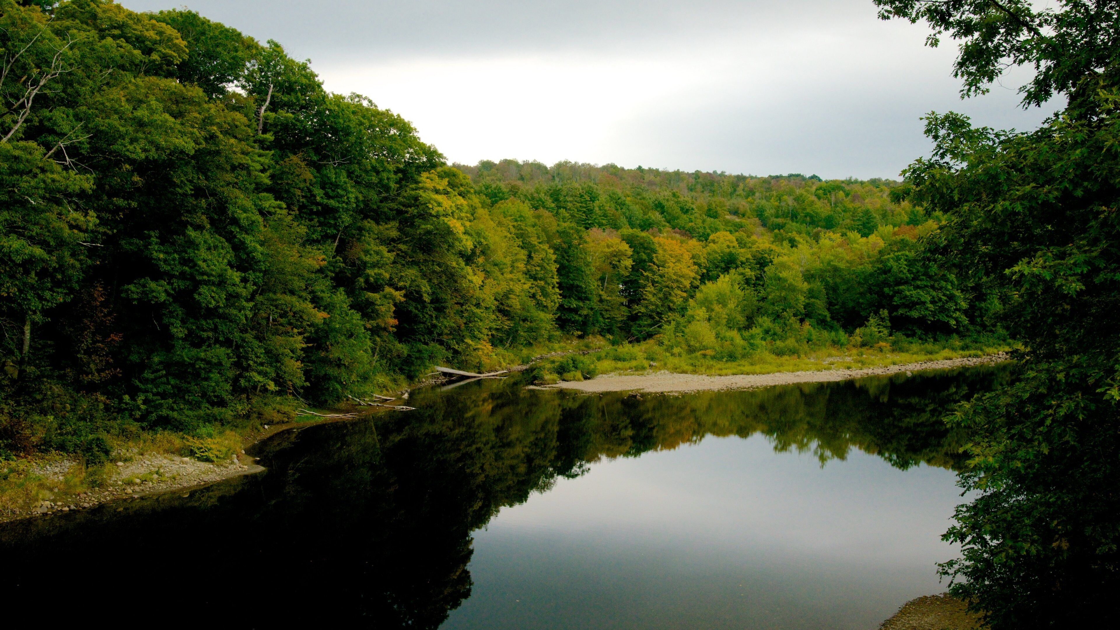 A calm river surrounded by dense forest with a small bridge in the distance.