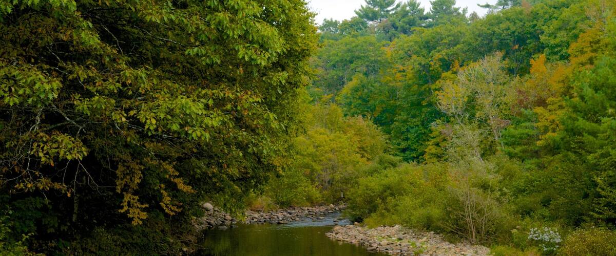 Maine which includes a river or creek and forest scenes