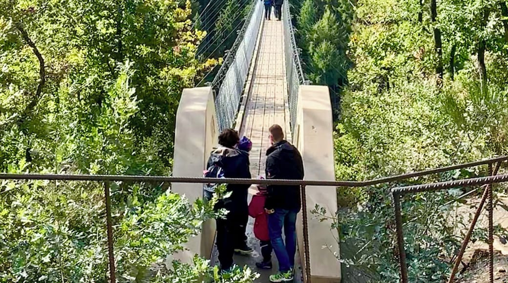 Eine schöne Wanderung von Mörsdorf bis zur Geierlay und zurück.
Meine Empfehlung auf dem Hinweg durch den Wald und den Rückweg über die geteerte Straße durch die Felder.