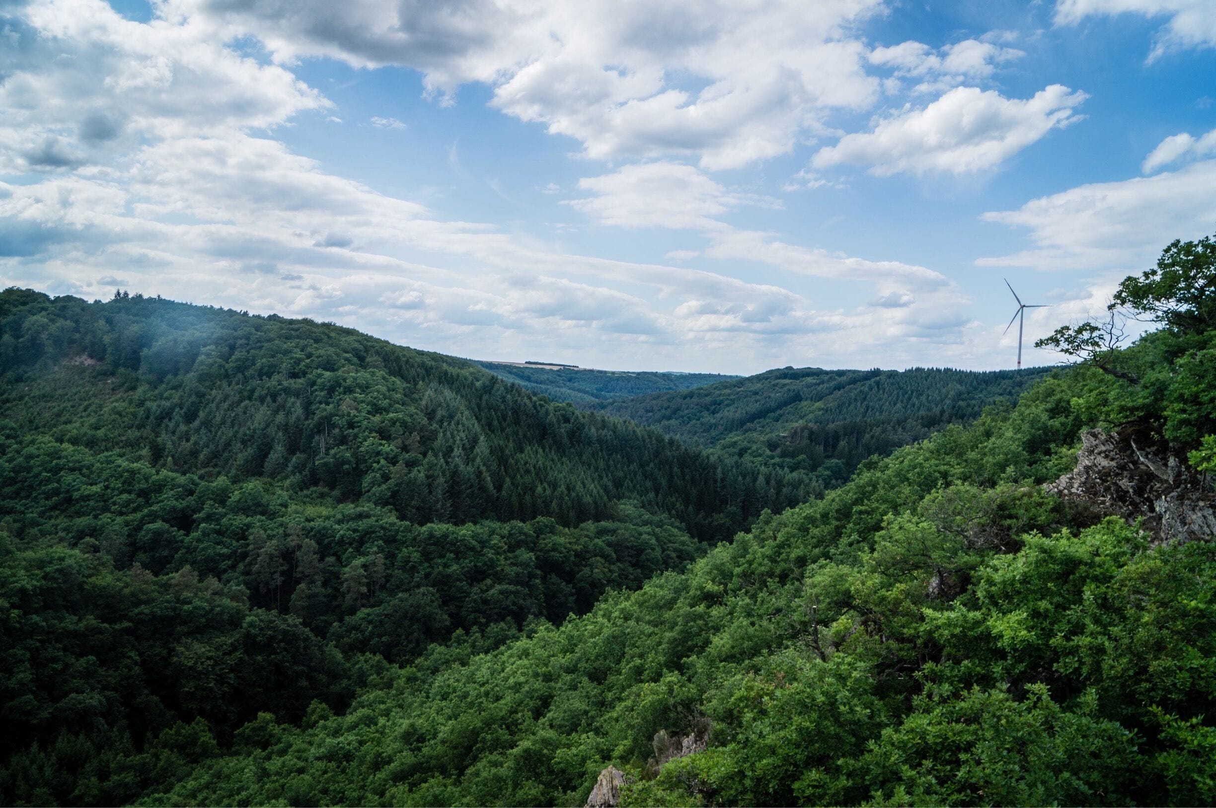#TakeAHike in Germany at Geierlay for lovely picturesque areas and amazing discoveries 