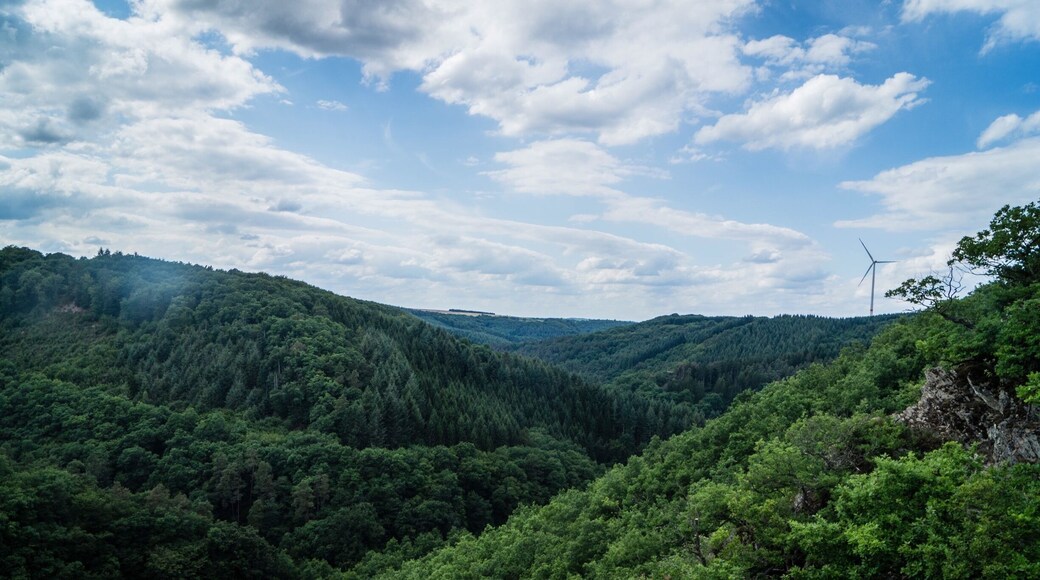 #TakeAHike in Germany at Geierlay for lovely picturesque areas and amazing discoveries