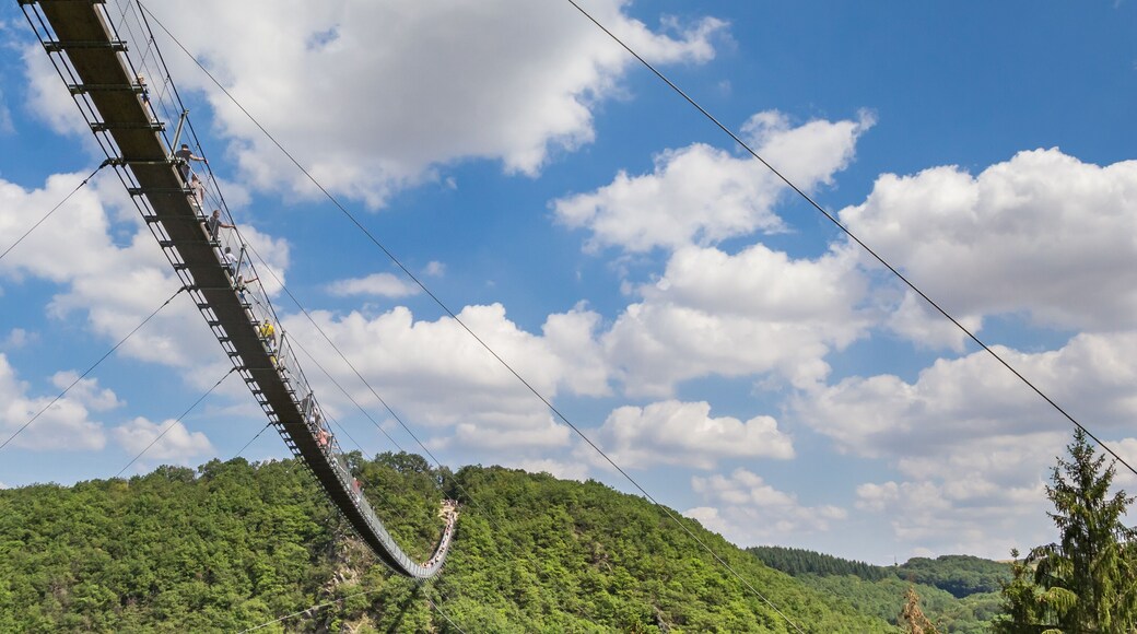 Panorama of hikers on the Geierlay suspension bridge near Morsdorf, Germany