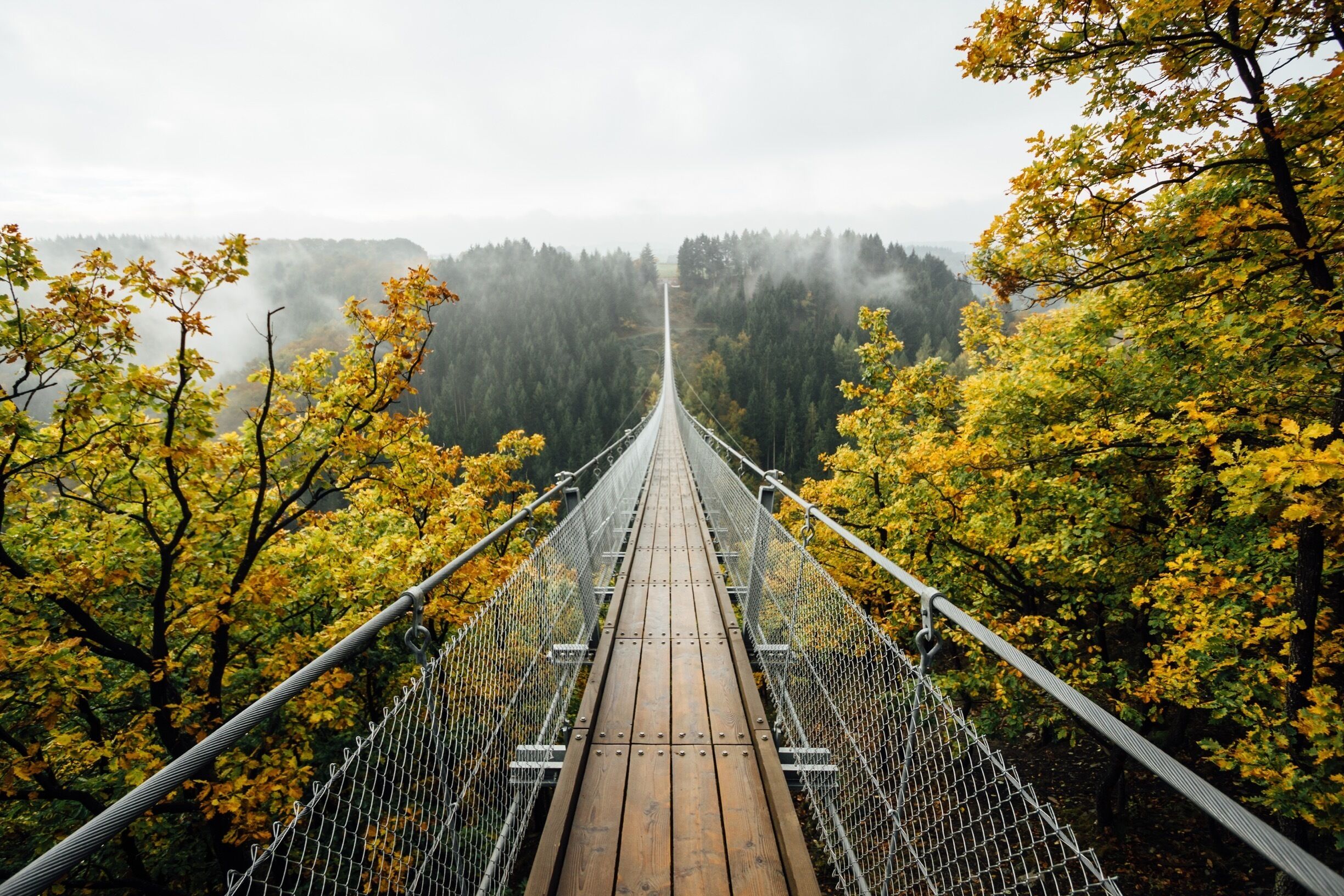 Getting up early and driving through #germany to look for stunning autumn colors. You can find amazing spots!!! Like this bridge in Mörsdorf. Be early to capture its pureness. 

FB: https://www.facebook.com/ShotByCanipel/
IG: https://instagram.com/canipel

#autumn #troveon #travel #europe 