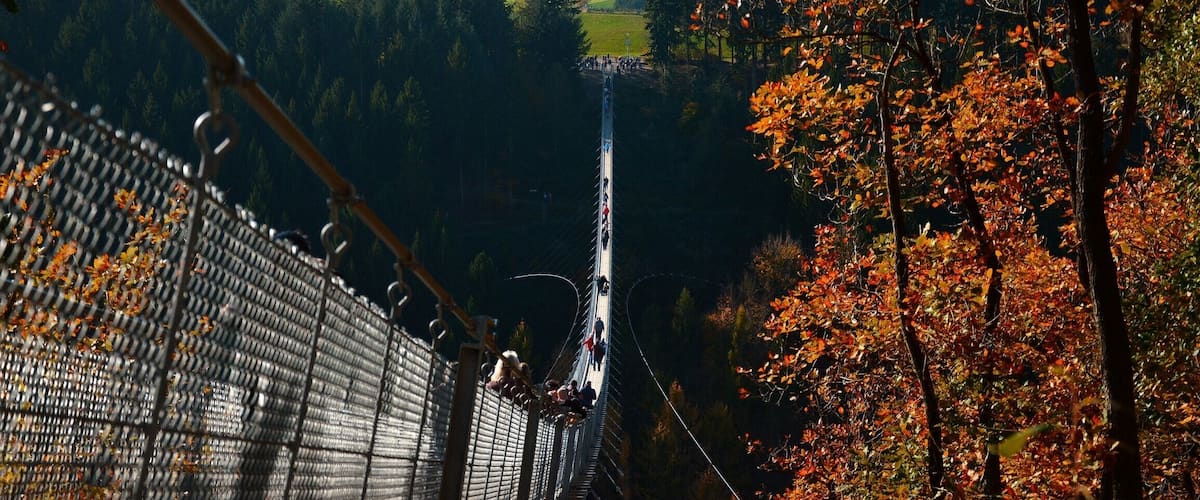 Hängeseilbrücke im Herbst🍂