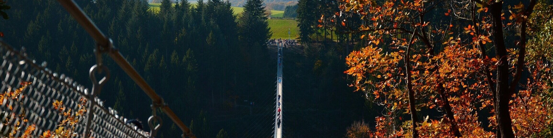 Hängeseilbrücke im Herbst🍂