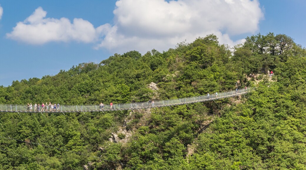 Panorama of the Geierlay suspension bridge in the mountains near Morsdorf, Germany