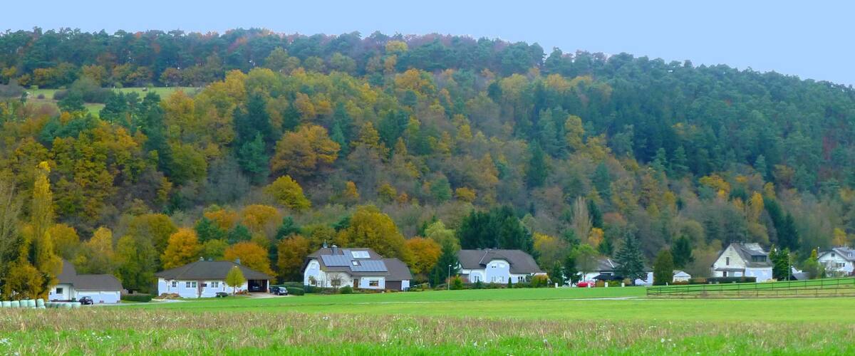 A rural landscape with houses and autumn-colored trees on a hillside.