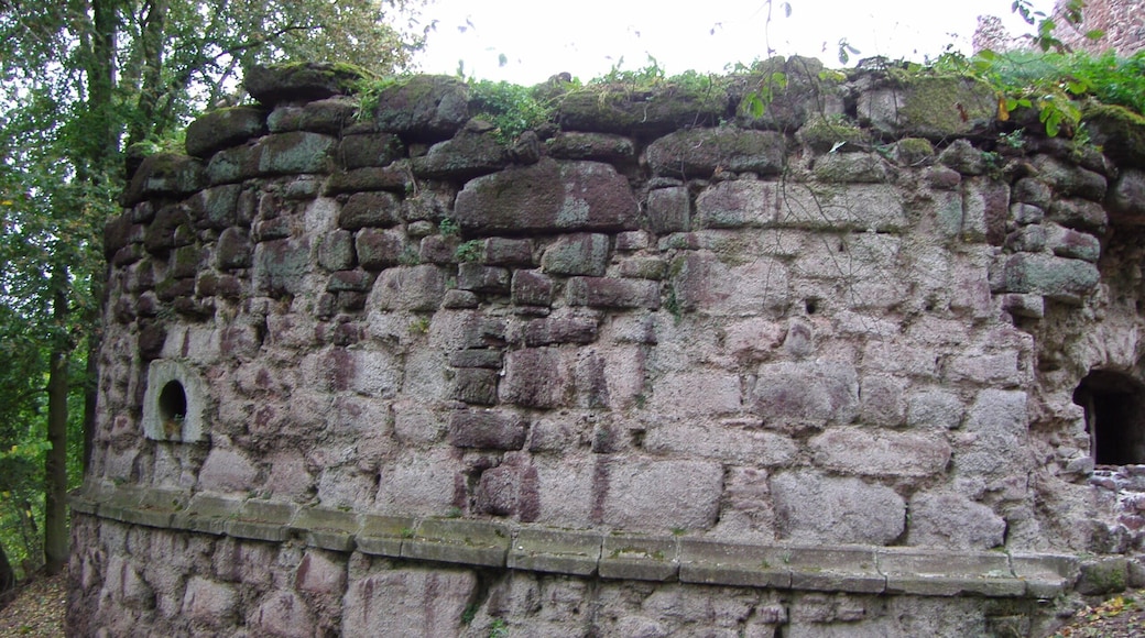 Burgruine Hohnstein, Neustadt / Harz
