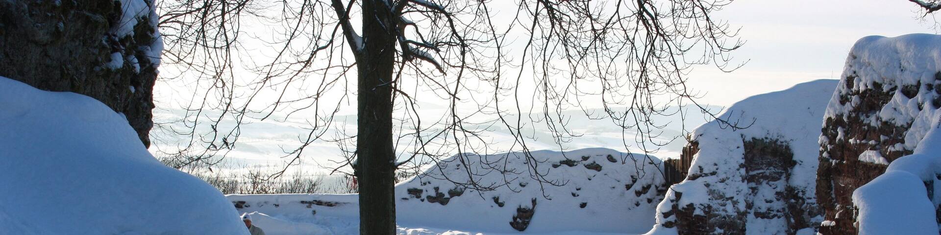 Winterimpressionen von und um Burg Hohenstein - sĂŒdlicher Harz