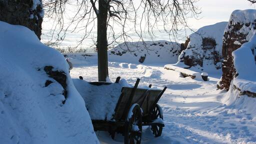 Winterimpressionen von und um Burg Hohenstein - südlicher Harz