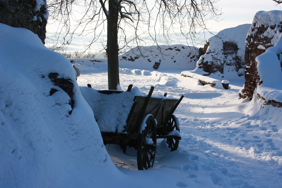 A snow-covered landscape with a wooden bench and a tree in the foreground.