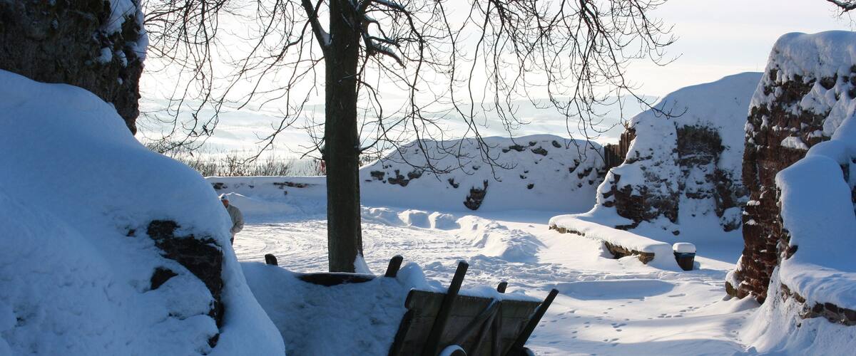 A snow-covered landscape with a wooden bench and a tree in the foreground.