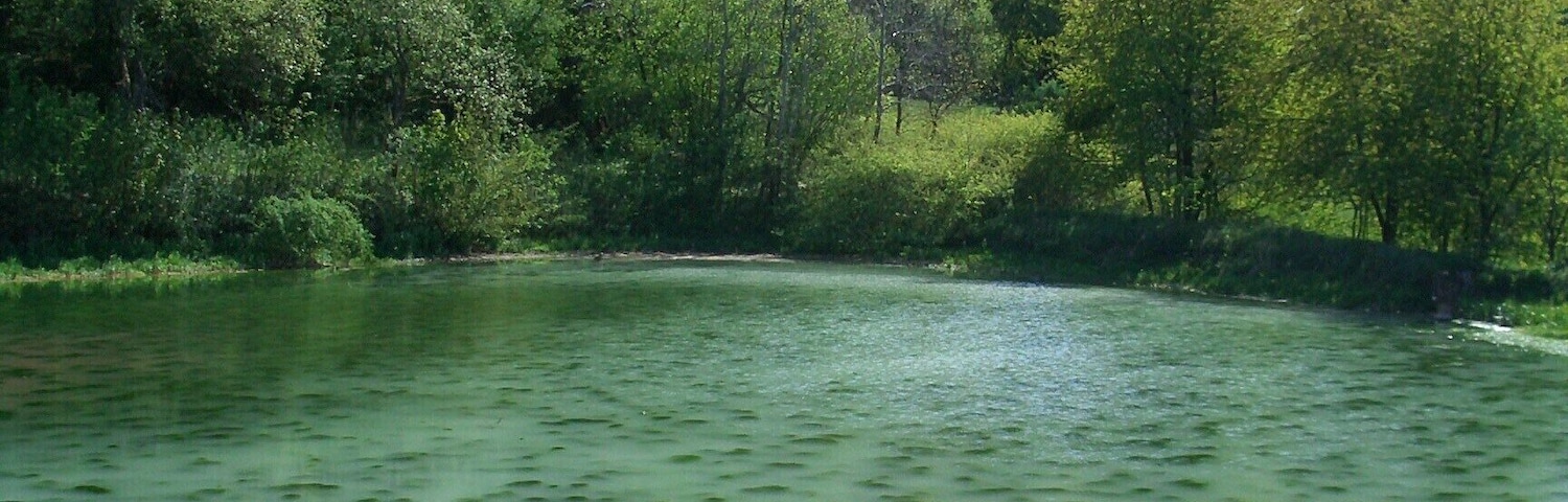 Way to Neustadt from Rüdigsdorf