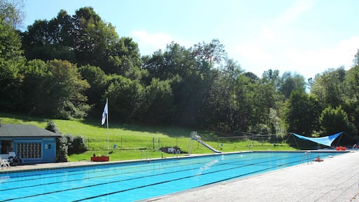 Vereinsschwimmbad Schwimmbadfreunde Weißenbrunn, Weißbrunntal 5, 96369 Weißenbrunn