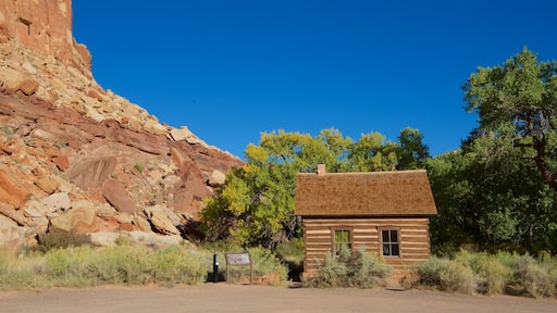 Torrey toont een huis en vredige uitzichten