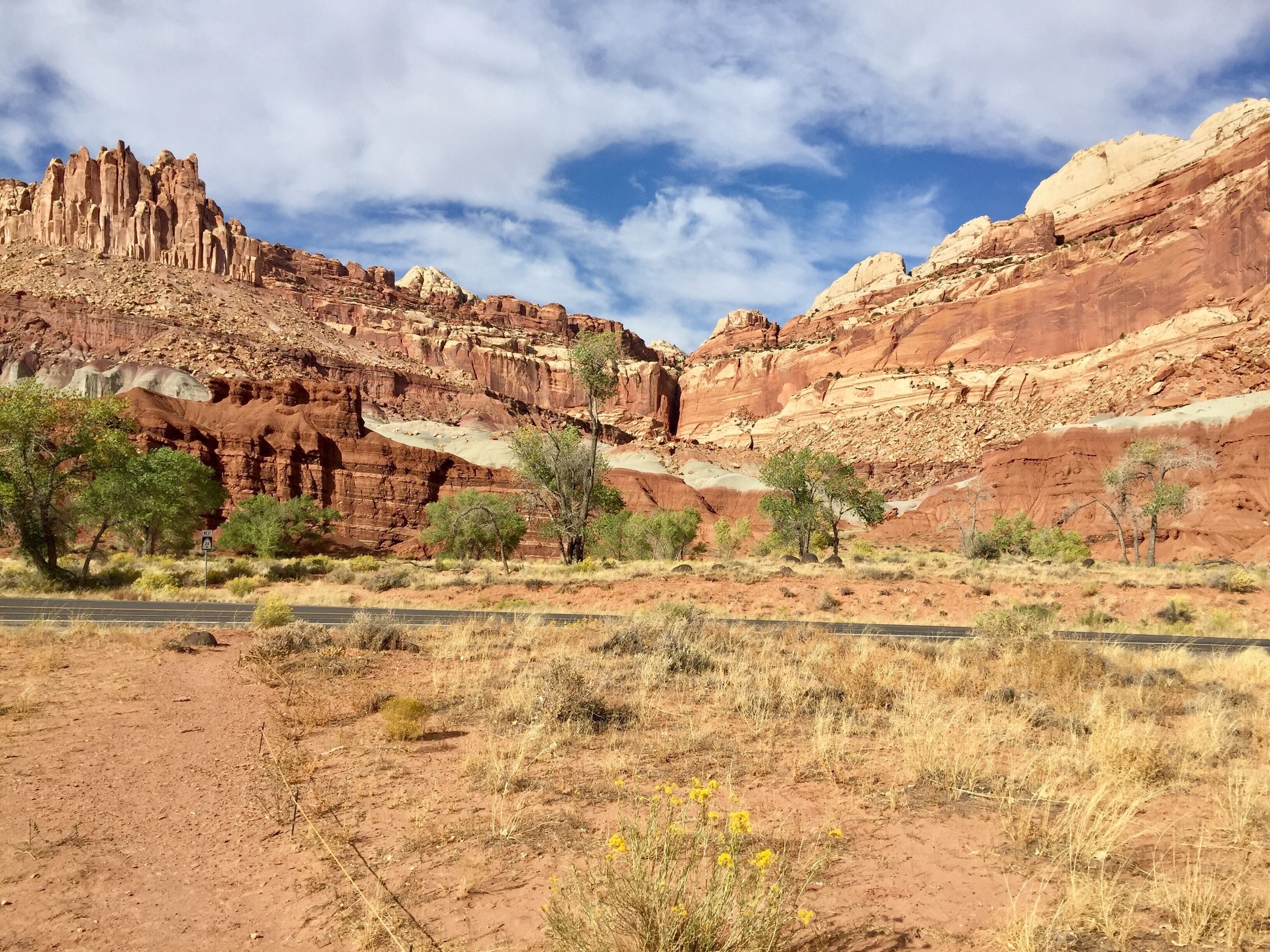 A desert landscape with red rock formations, sparse vegetation, and a clear sky.