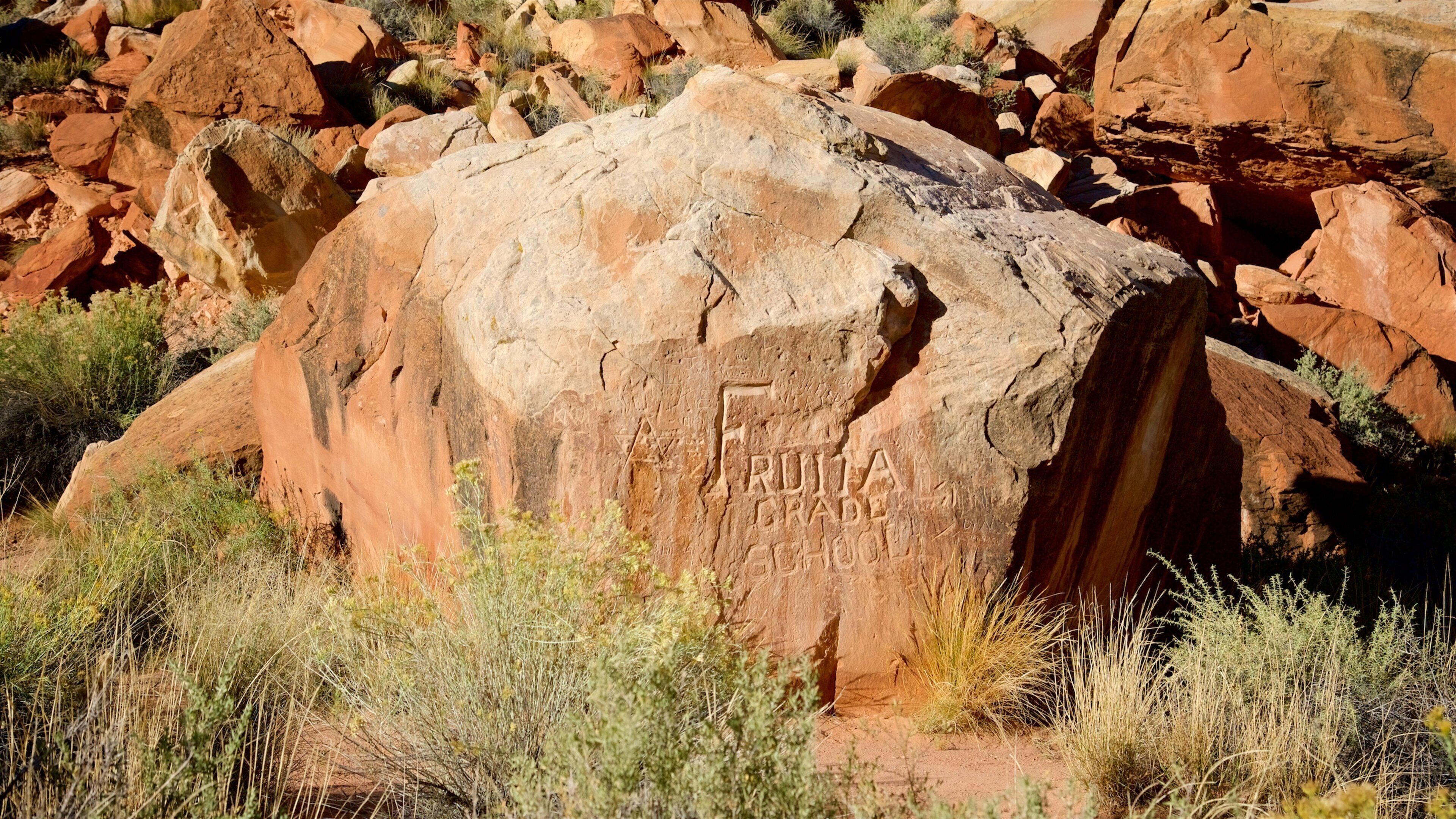 Torrey showing desert views and signage