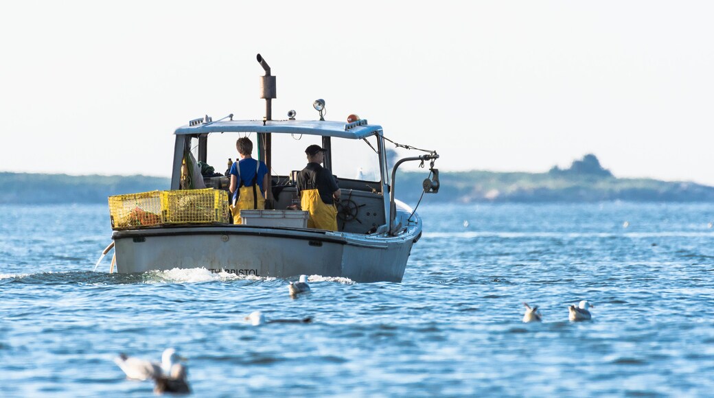 Lobster men hard at work on a beautiful morning in early autumn in South Bristol, Maine, United States
