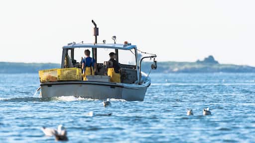 Lobster men hard at work on a beautiful morning in early autumn in South Bristol, Maine, United States