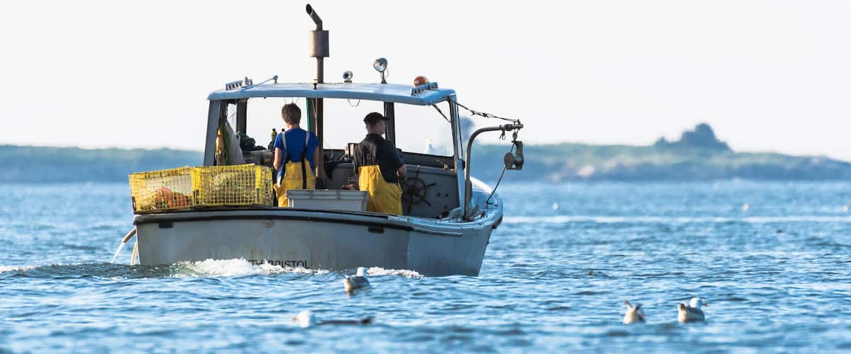 A boat on calm water with a distant landmass and seagulls.