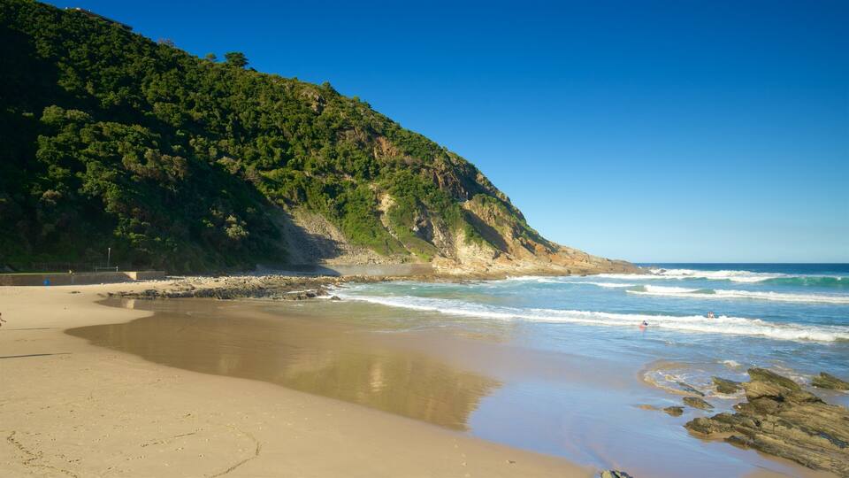 A beach with a sandy shore, waves crashing onto the beach, and a forested cliff in the background.