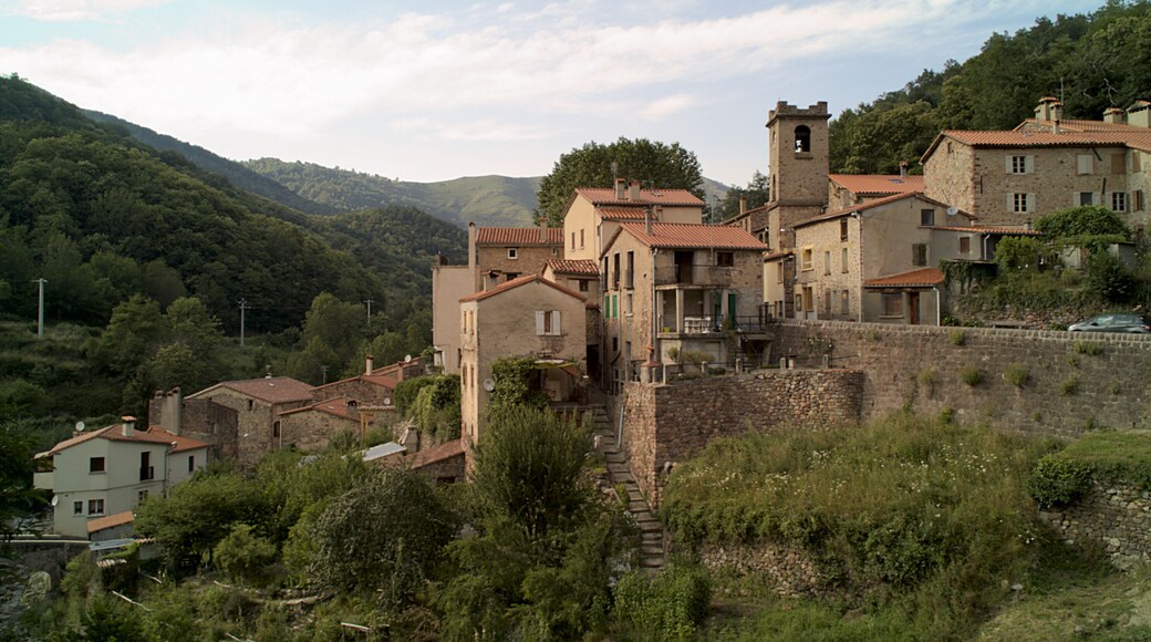 Vue générale, Lamanère (Pyrénées-Orientales, Languedoc-Roussillon, France)