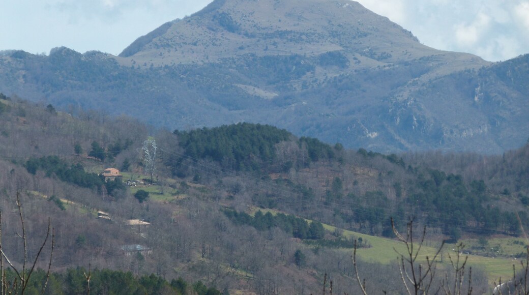 Pic del Comanegra vist des del camí a Ascenció, a la Vall de Camprodon