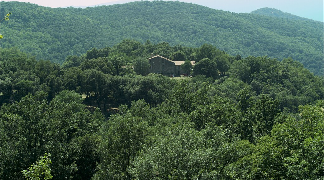 Mas d'En Serra depuis Saint Martin de l'Albère, L'Albère (Pyrénées-Orientales, Languedoc-Roussillon, France)