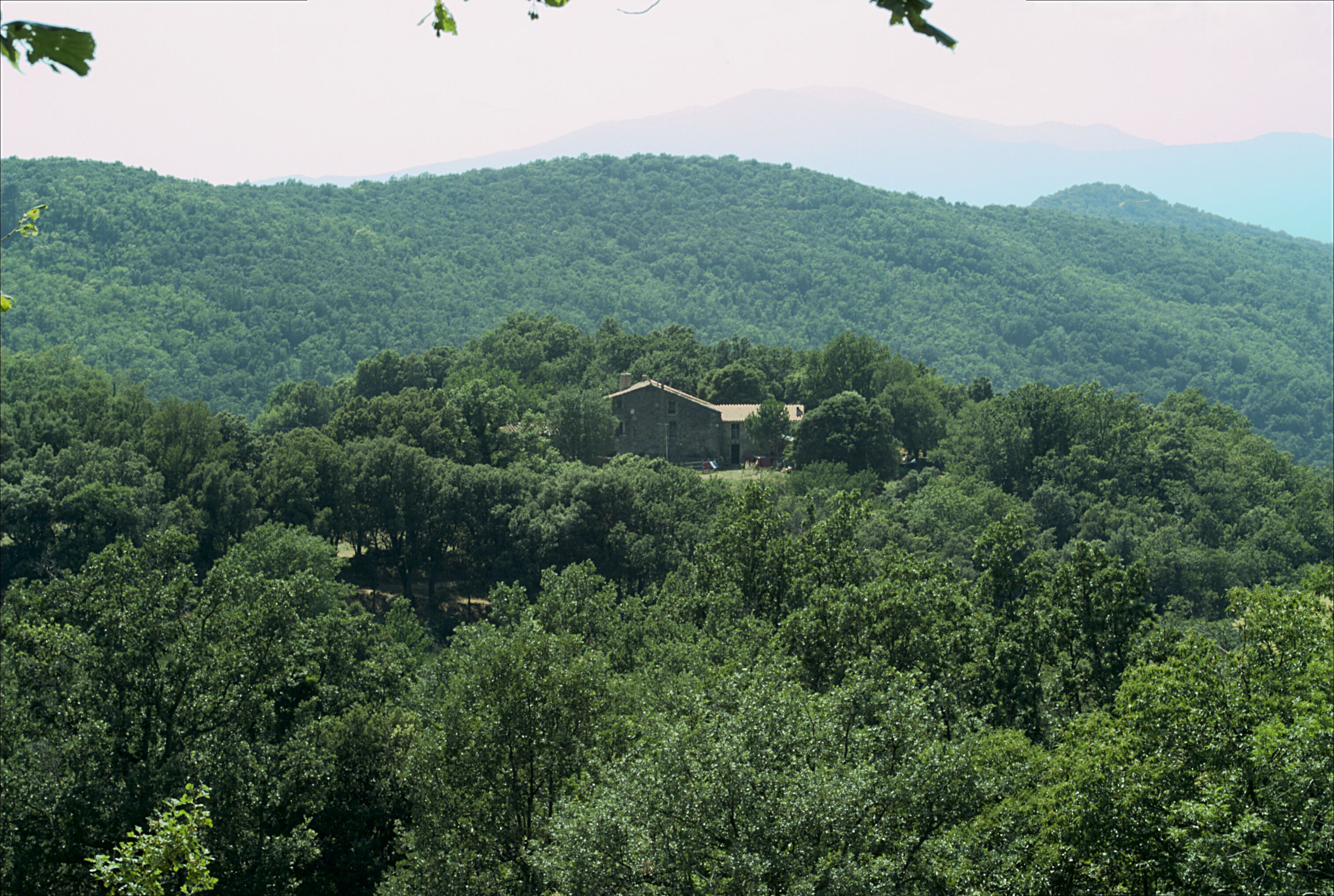 A house surrounded by dense forest and hills.